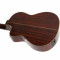 قیمت خرید فروش گیتار کلاسیک  Ibanez G200ECE NT